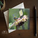 A special occasion greeting card and envelope with a colorful bird on a sunflower available at Cove Creek Photography.